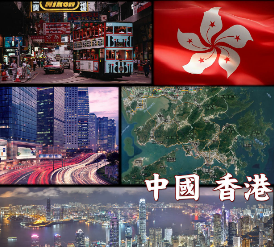 香港回归22周年之做面3D打印的创意紫荆花区旗